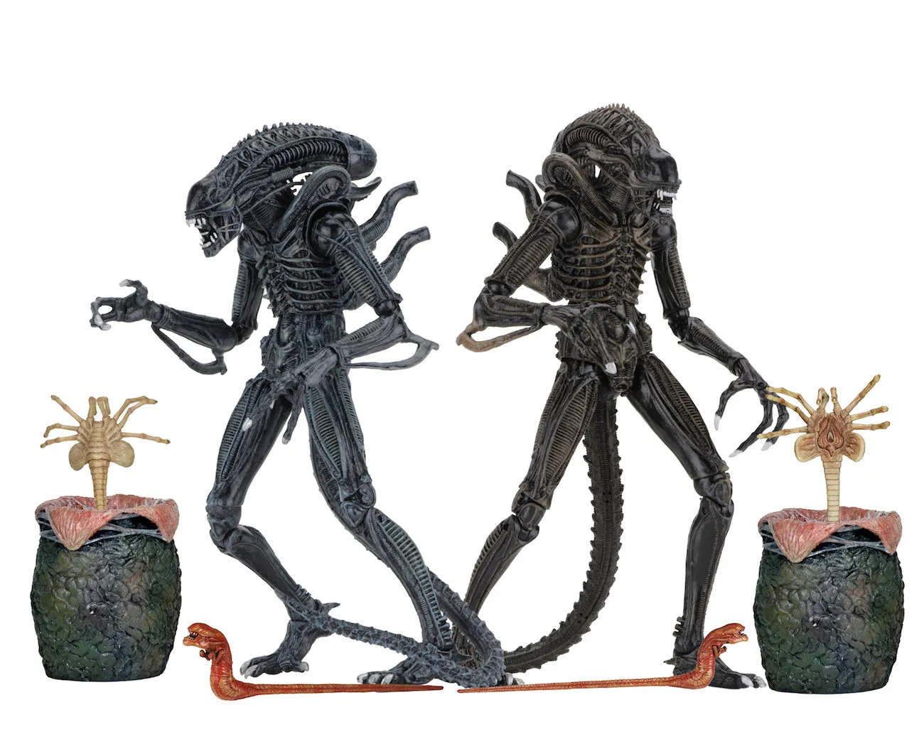 Aliens Ultimate Alien Warrior (1986) Set of 2 Blue & Brown Alien 7″ Scale Action Figures - NECA