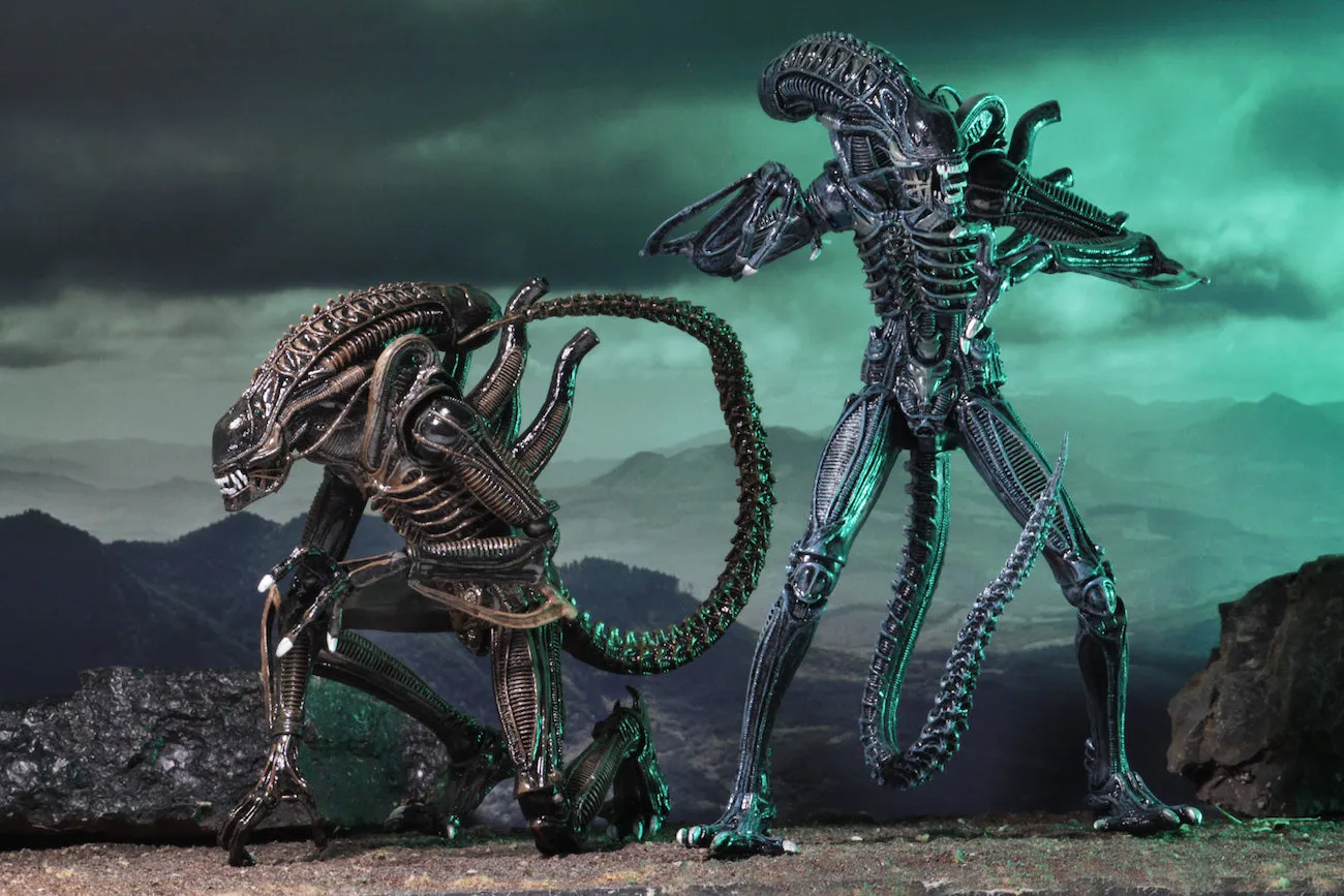 Aliens Ultimate Alien Warrior (1986) Set of 2 Blue & Brown Alien 7″ Scale Action Figures - NECA