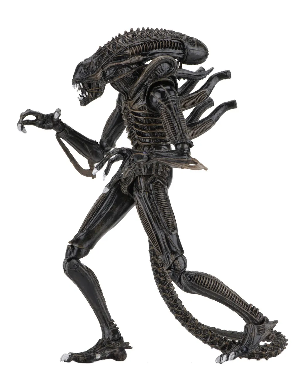 Aliens Ultimate Alien Warrior (1986) Set of 2 Blue & Brown Alien 7″ Scale Action Figures - NECA