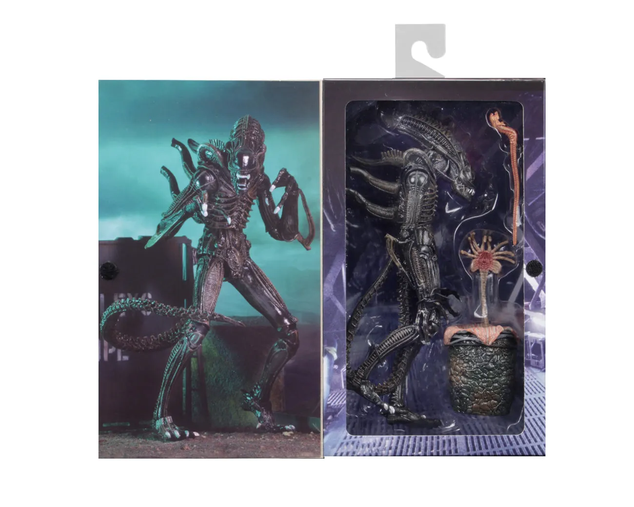 Aliens Ultimate Alien Warrior (1986) Set of 2 Blue & Brown Alien 7″ Scale Action Figures - NECA