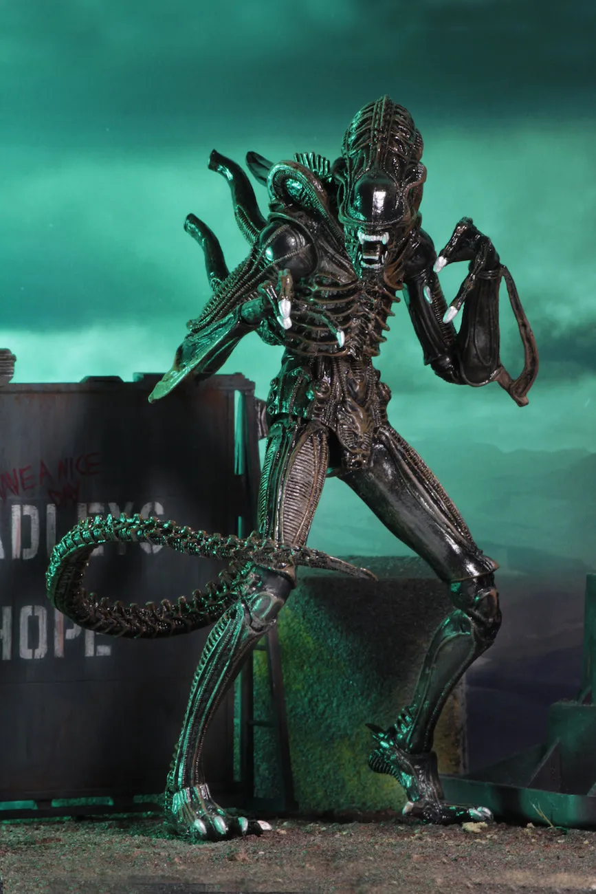 Aliens Ultimate Alien Warrior (1986) Set of 2 Blue & Brown Alien 7″ Scale Action Figures - NECA
