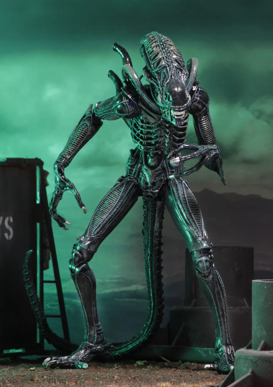 Aliens Ultimate Alien Warrior (1986) Set of 2 Blue & Brown Alien 7″ Scale Action Figures - NECA