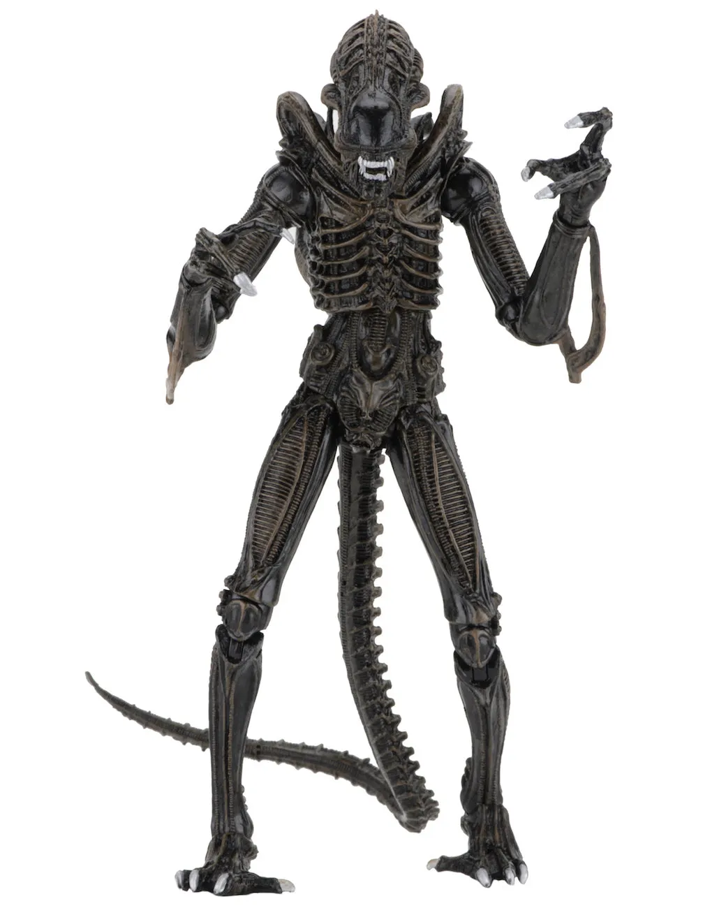 Aliens Ultimate Alien Warrior (1986) Set of 2 Blue & Brown Alien 7″ Scale Action Figures - NECA