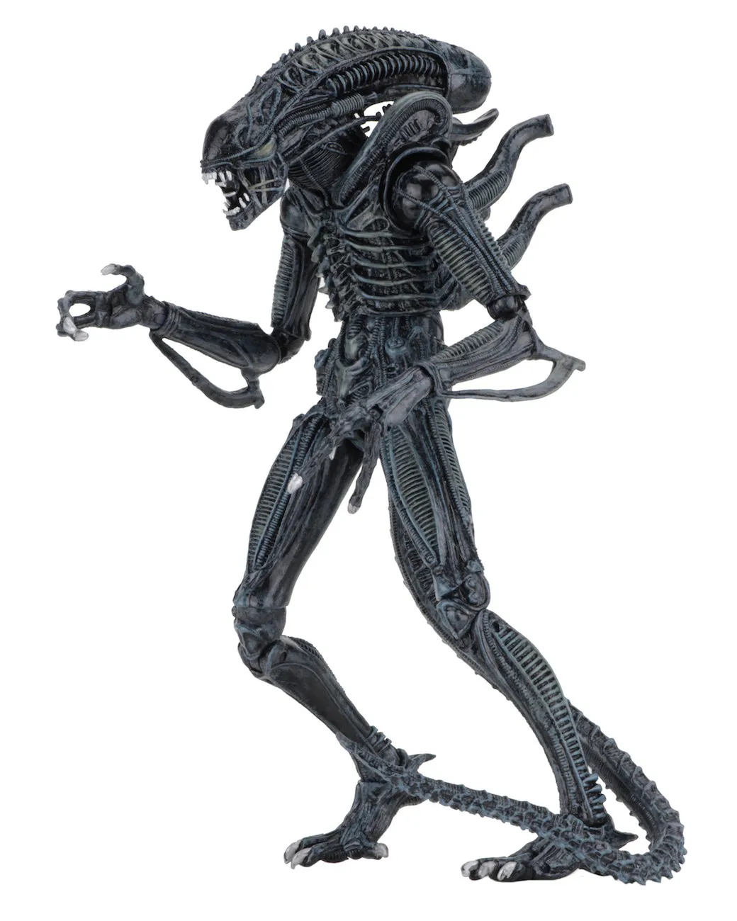 Aliens Ultimate Alien Warrior (1986) Set of 2 Blue & Brown Alien 7″ Scale Action Figures - NECA