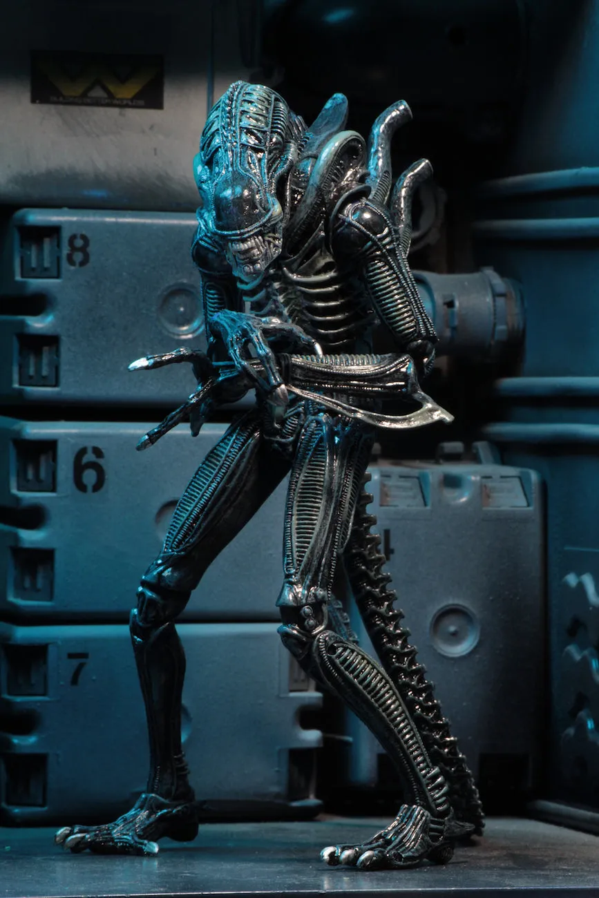 Aliens Ultimate Alien Warrior (1986) Set of 2 Blue & Brown Alien 7″ Scale Action Figures - NECA