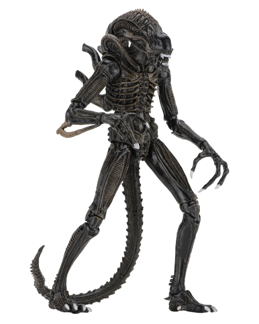 Aliens Ultimate Alien Warrior (1986) Set of 2 Blue & Brown Alien 7″ Scale Action Figures - NECA