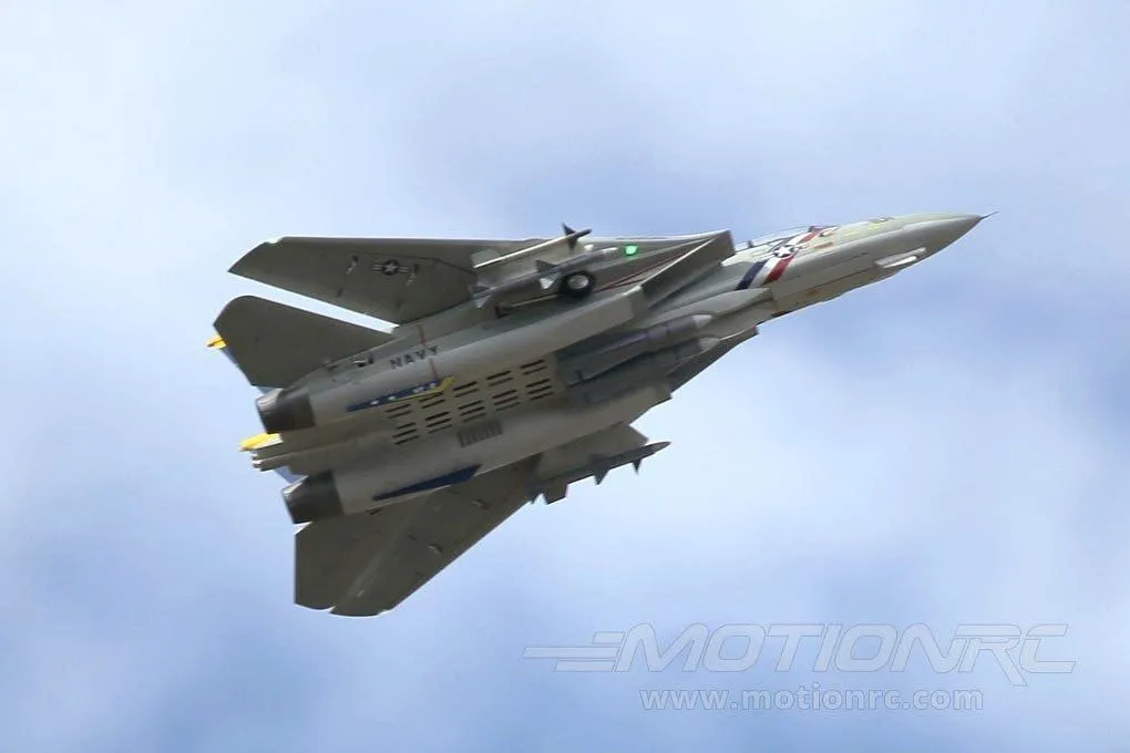 Freewing F-14 Tomcat Twin 80mm EDF Jet - ARF PLUS