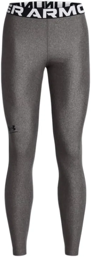 Under Armour HeatGear Authentics Leggings